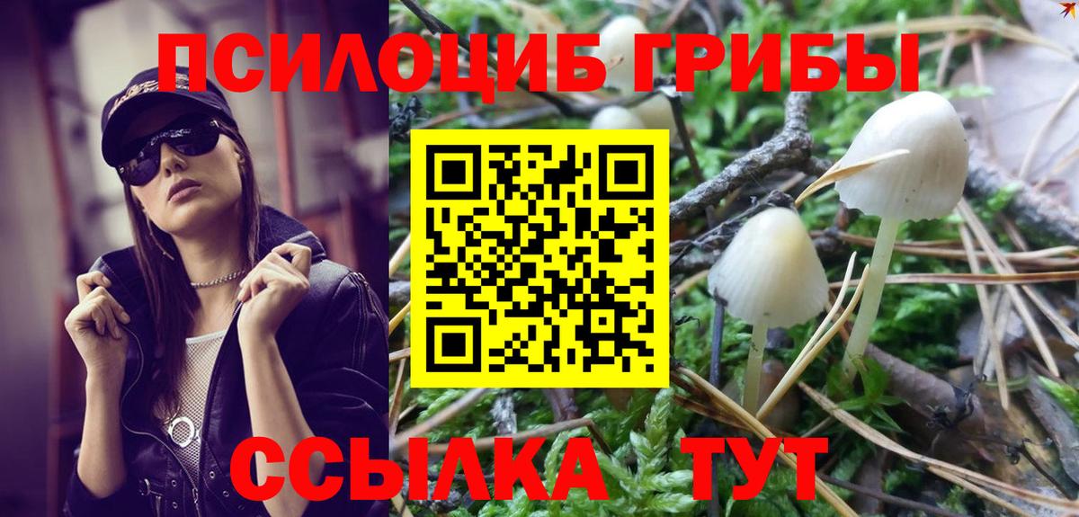 Галлюциногенные грибы мухоморы  Псилоцибиновые грибы Psilocybe  Павлово  как найти наркотики  Вход с VPN 
