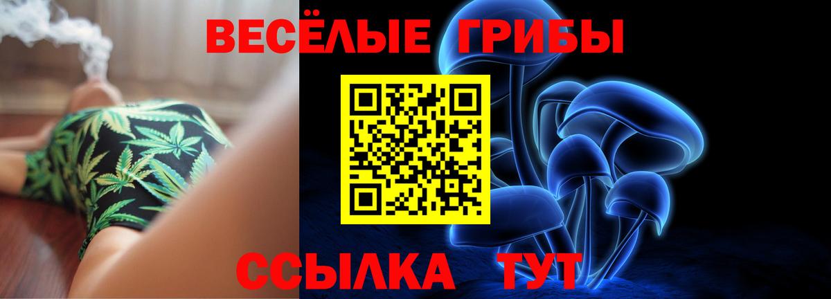 Галлюциногенные грибы MAGIC MUSHROOMS Павлово